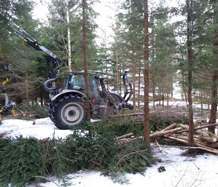 Ostamme kuitupuuta ympärivuotisesti. Eniten menee koivua mutta myös haapa,leppä, kuivaset ym. ovat hyvin kiinnostavaa raaka-ainetta. Maksamme kilpailukykyisen hinnan ja voimme auttaa hakkuun järjestelyssä. Hankintakauppoja (maanomistaja tekee/järjestää puut tienlaitaan) teemme melko pienistäkin eristä. Pystykaupoissa järkevä eräkoko on alkaen rekkakuormallinen eli noin 60kiintoa. Yksittäisiä pihapuita ja risuja voimme noutaa klapitoimitusten yhteydessä mutta näistä yleensä "myyjä" jää maksun puolelle.